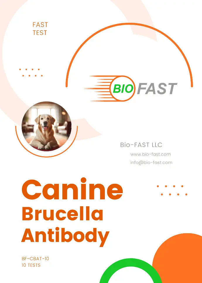 canine-brucella-test-kit.webp