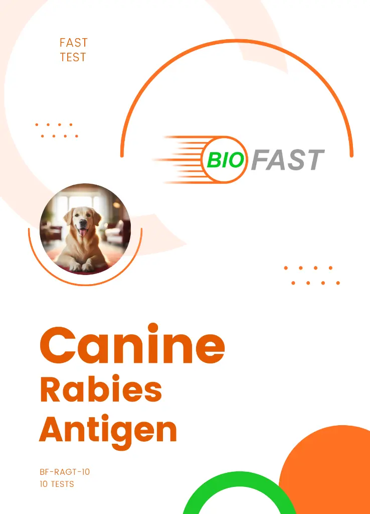 rabies-test.webp