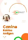 rabies-test.webp