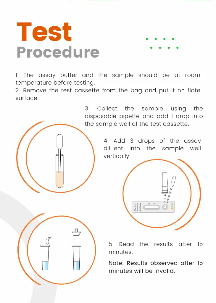 canine-brucella-antibody-test.webp