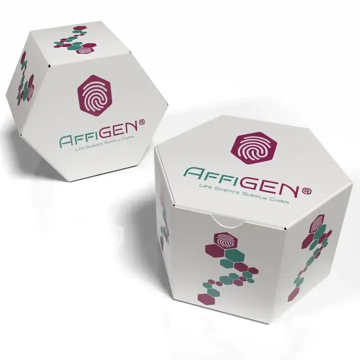 [AFG-CST-0018] AffiCUSTOM® Visium HD spatial transcriptomics service -4 samples with a 6.5 × 6.5 mm capture area, including the complete workflow and data delivery (FASTQ files + Space Ranger output