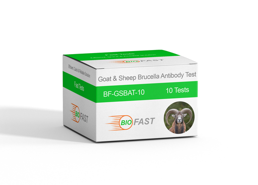 [BF-GSBAT-10] Goat & Sheep Brucella Antibody Test